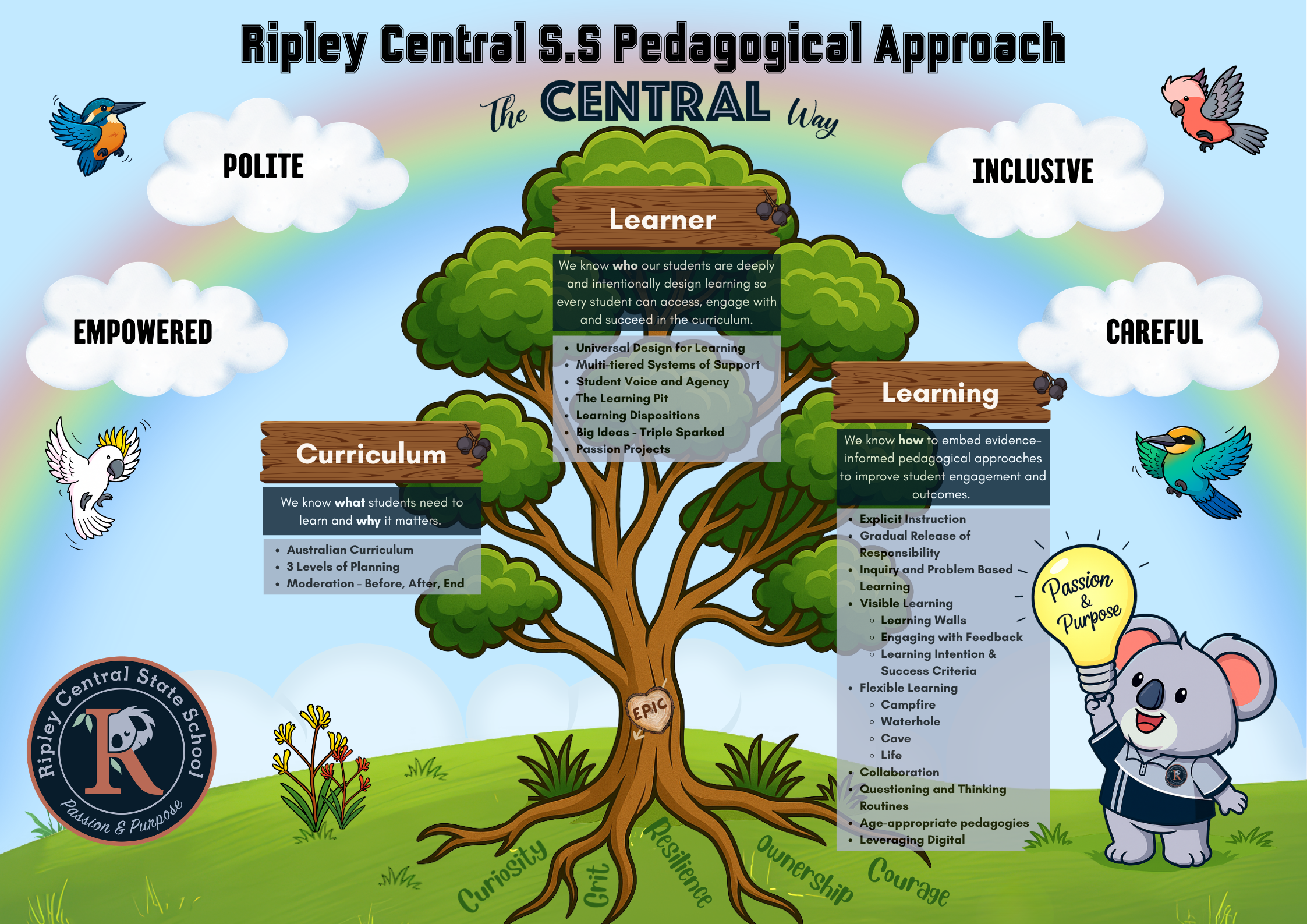 RCSS Pedagogical Approach